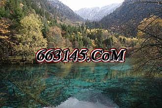 热血传奇1.76复古版点卡