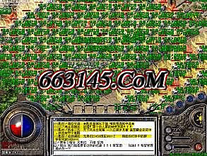 1 76卓越大极品
